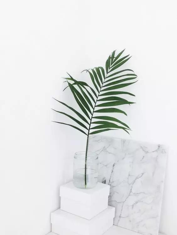 White Marble 7 White Marble