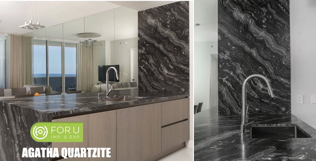 Black quartzite that looks like marble 12 Agatha Black Quartzite Kitchen Projects